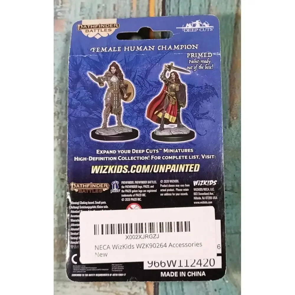 Pathfinder Battles Female‎ Human Champion Miniature Set